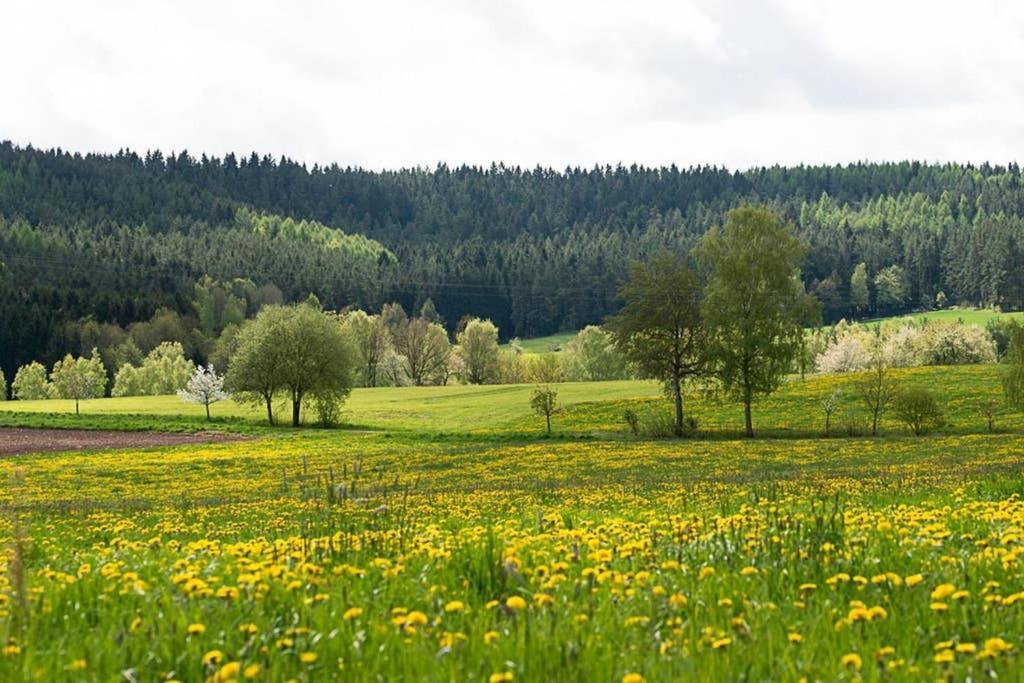 Gaestehaus Kohlberg Kohlberg  Dış mekan fotoğraf
